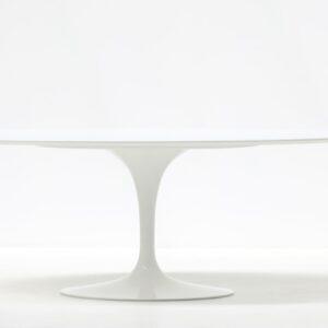 Tulp tafel ovaal