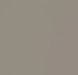 4011 | taupe